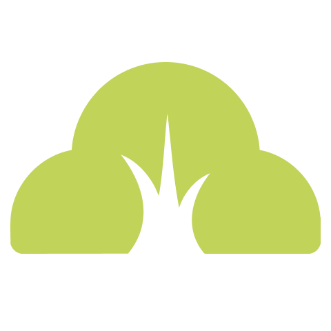 Donorfy